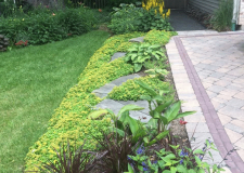 10.Landscaping-7-225x300