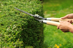 Garden Hardscape Elements - Hedge Trimming Tips