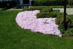 Outdoor-Living-Spaces2