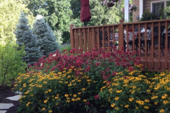 thumbs_galery-3