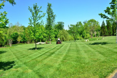 1_lawn-care-643557_1920-e1514929244946