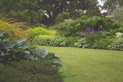 backyard-garden